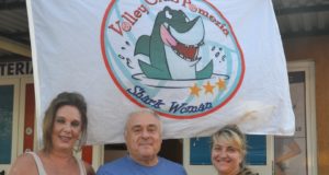 Shark Volley Club